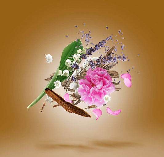 Xerjoff Alexandria II | Alexandria II notes | Fragrance Samples|Perfume samples