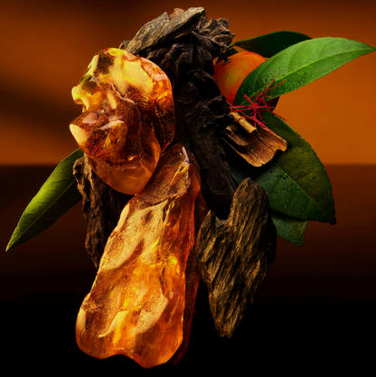 Ambre Levant Perfume | Ambre Levant notes | Fragrance notes |Perfume samples