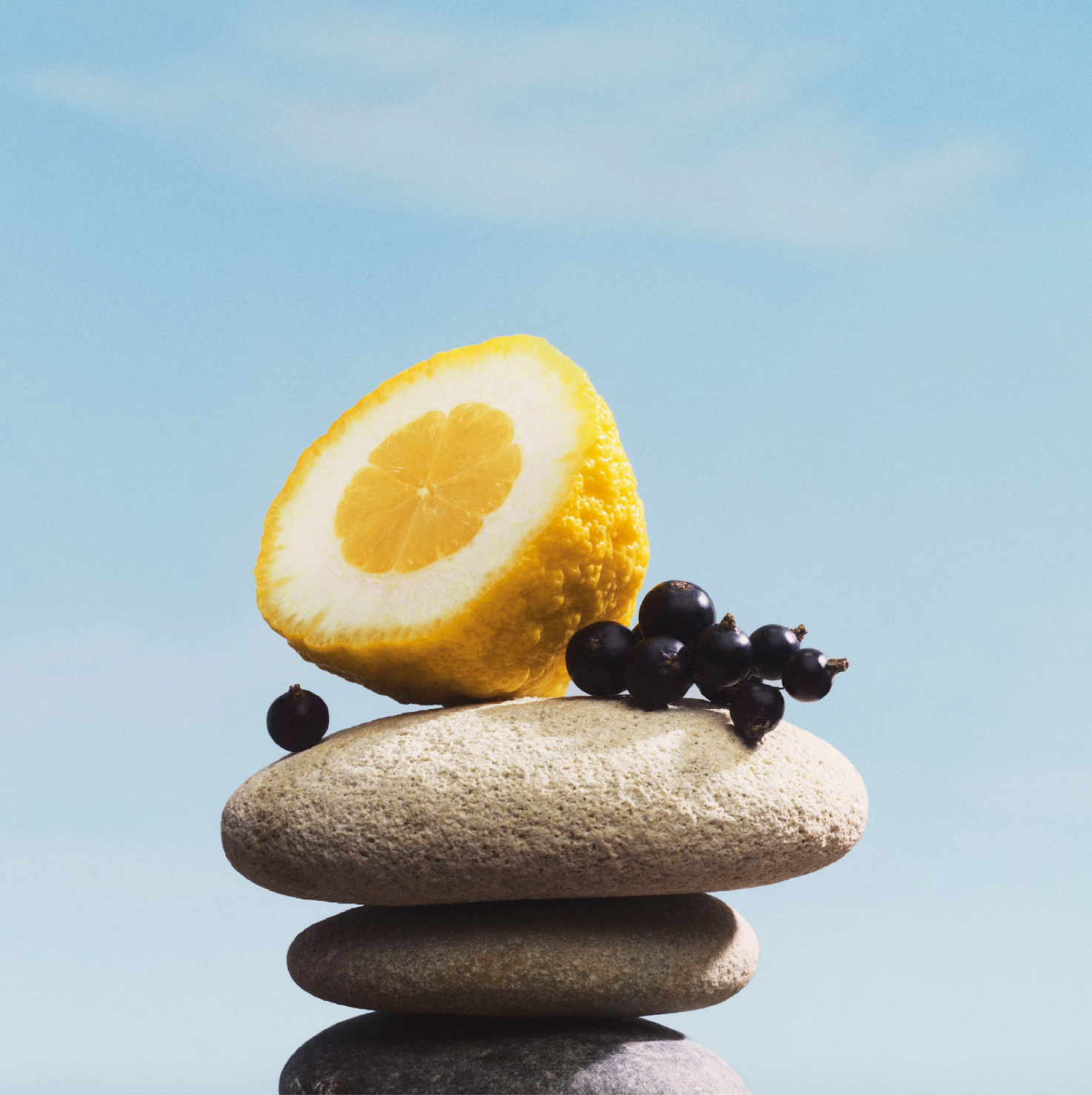 Pacific Chill Notes | Louis Vuitton | Fragrance Samples|Perfume samples